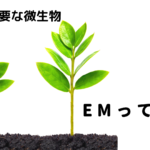 【EM】「イーエムって何？」有機農業に使われる「EM」とは？