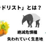 【絶滅危惧種】絶滅のおそれが高い野生生物のリスト「レッドリスト」とは？